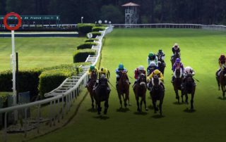 Hippodrome de Dax - Arrivée - Crédit photo : Robert Polin - Photographe