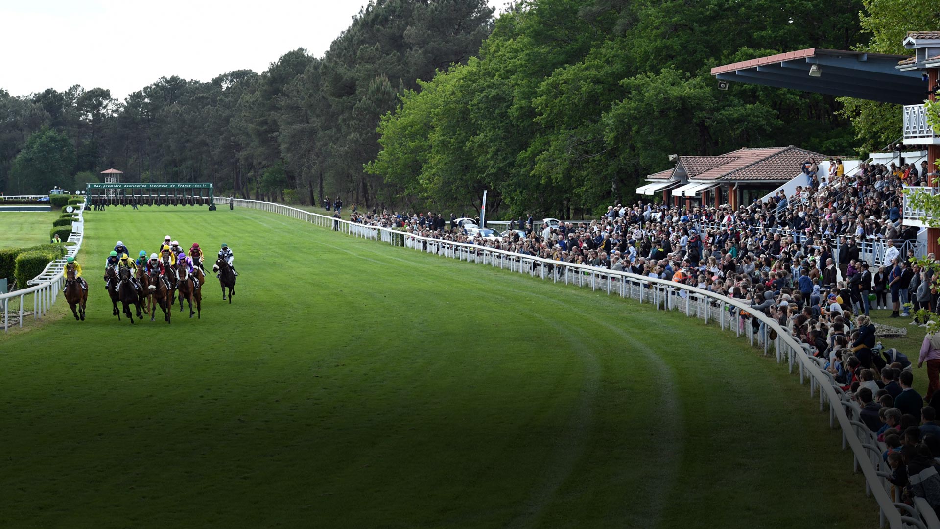 Hippodrome de Dax - Virage - Crédit photo : Robert Polin - Photographe